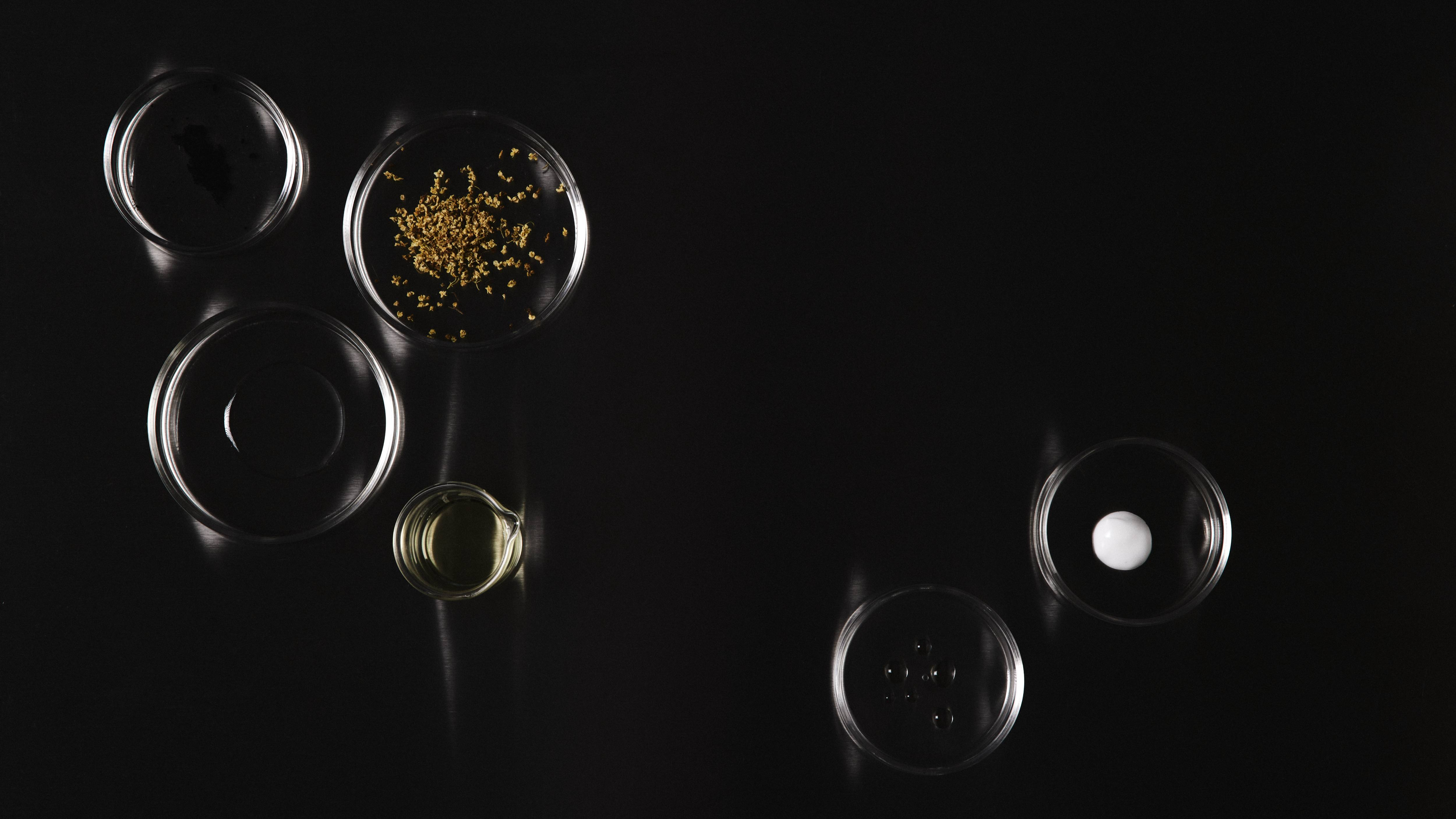 Hvad gør ingredienserne for dit hår?